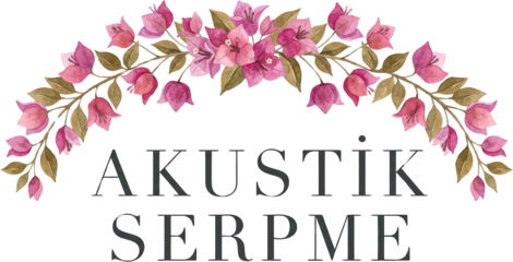 Akustik Serpme logo